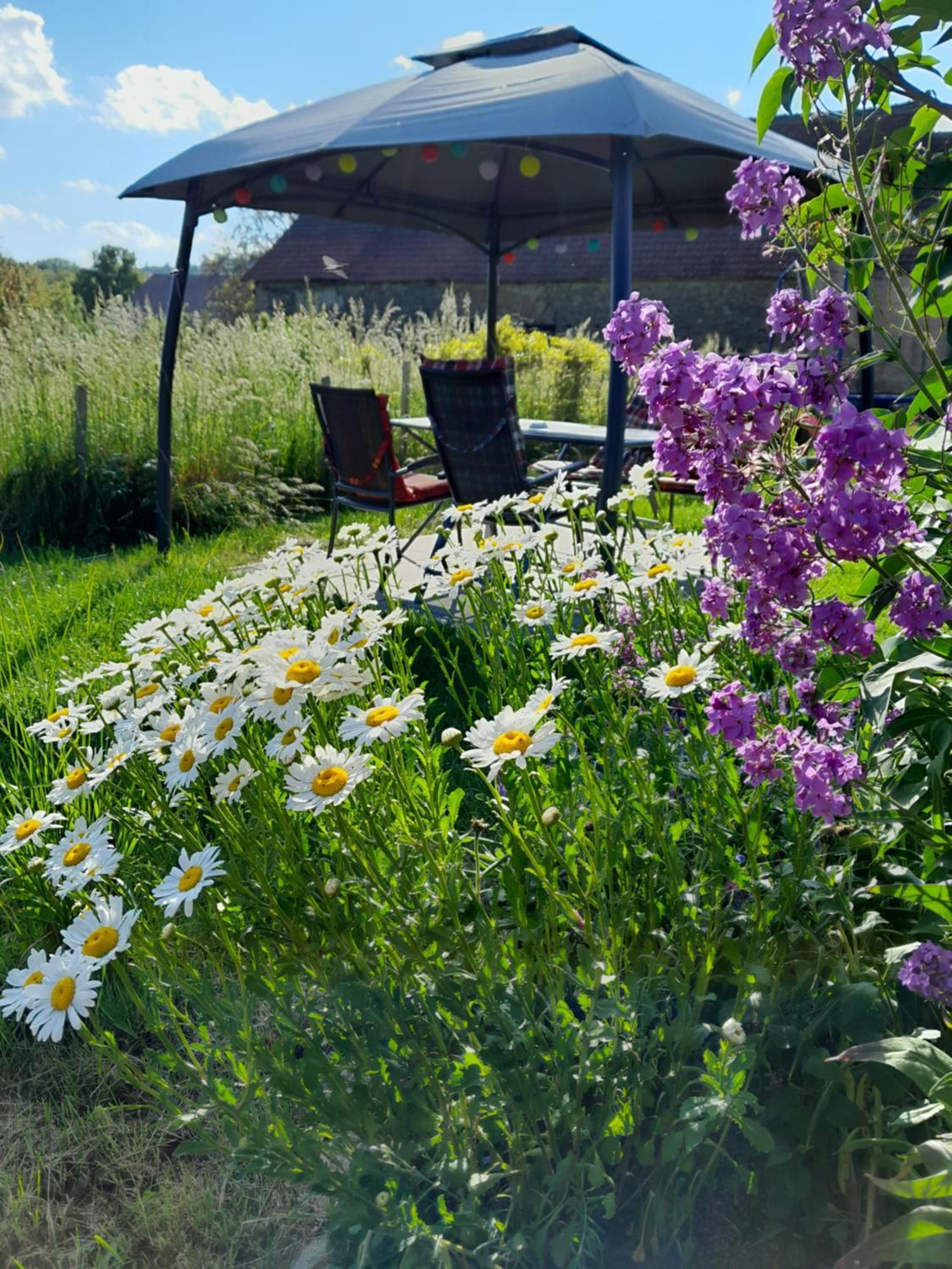 PENZION Malá farma Nemojany Exteriér fotografie
